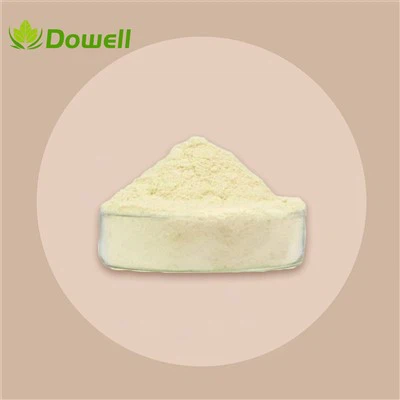 Extrait d'Hamamélis Virginiana